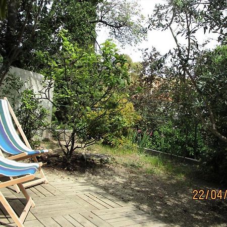 Nice - Studio Independant En Villa - Mer Ville Calme Jardinet Eksteriør bilde