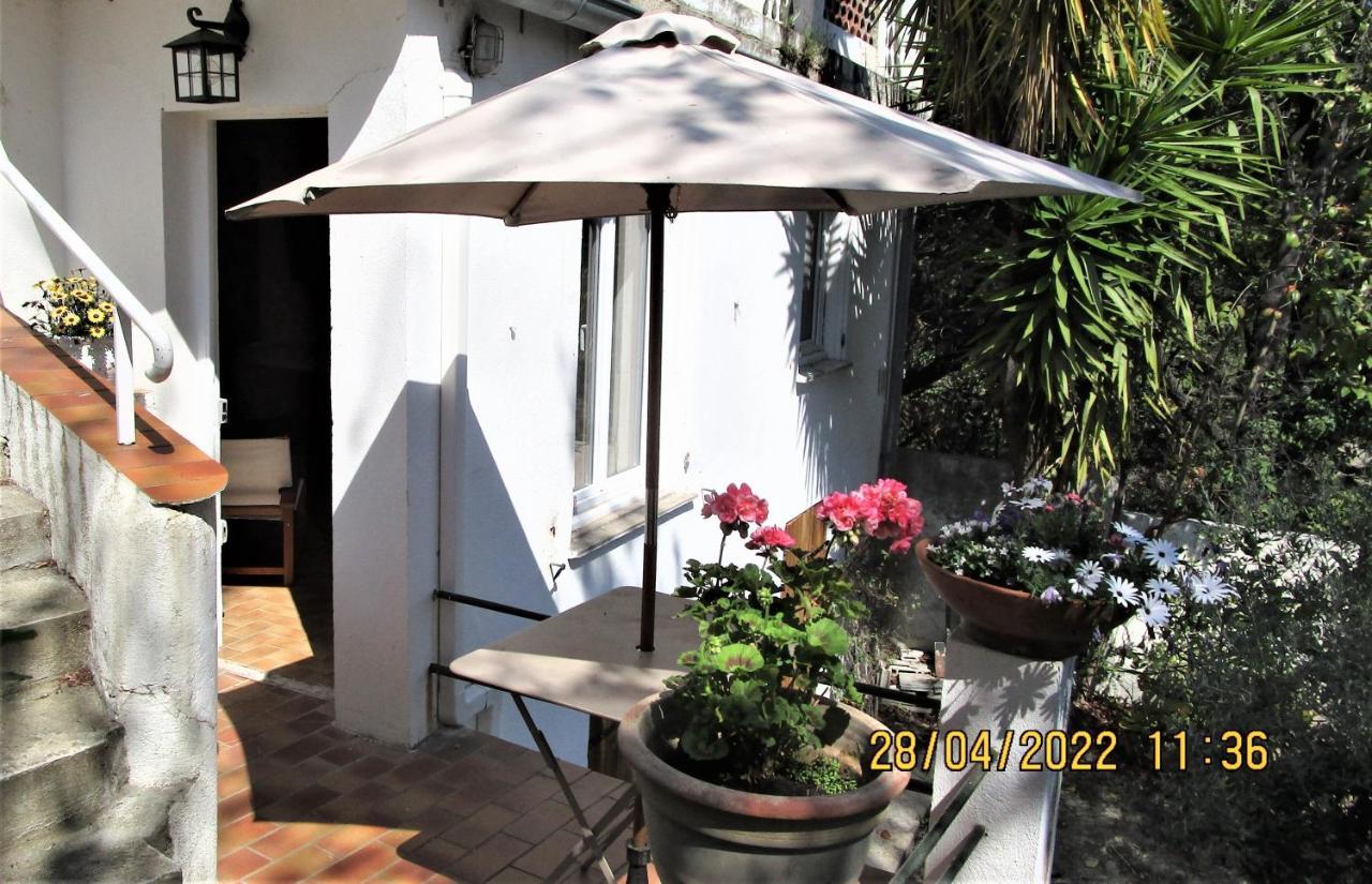 Nice - Studio Independant En Villa - Mer Ville Calme Jardinet Eksteriør bilde